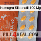 Kamagra Sildenafil 100Mg 43
